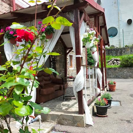 Casa Olguta Apartment ซินายา ภายนอก รูปภาพ