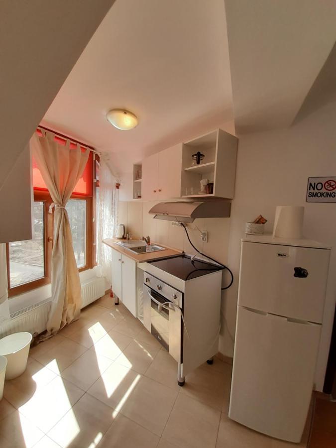 Casa Olguta Apartment ซินายา ภายนอก รูปภาพ