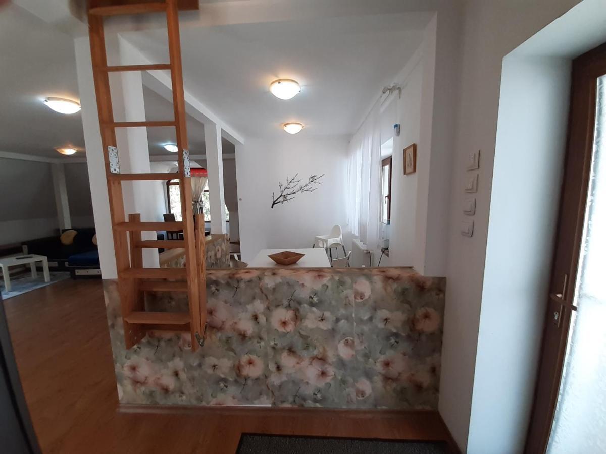 Casa Olguta Apartment ซินายา ภายนอก รูปภาพ