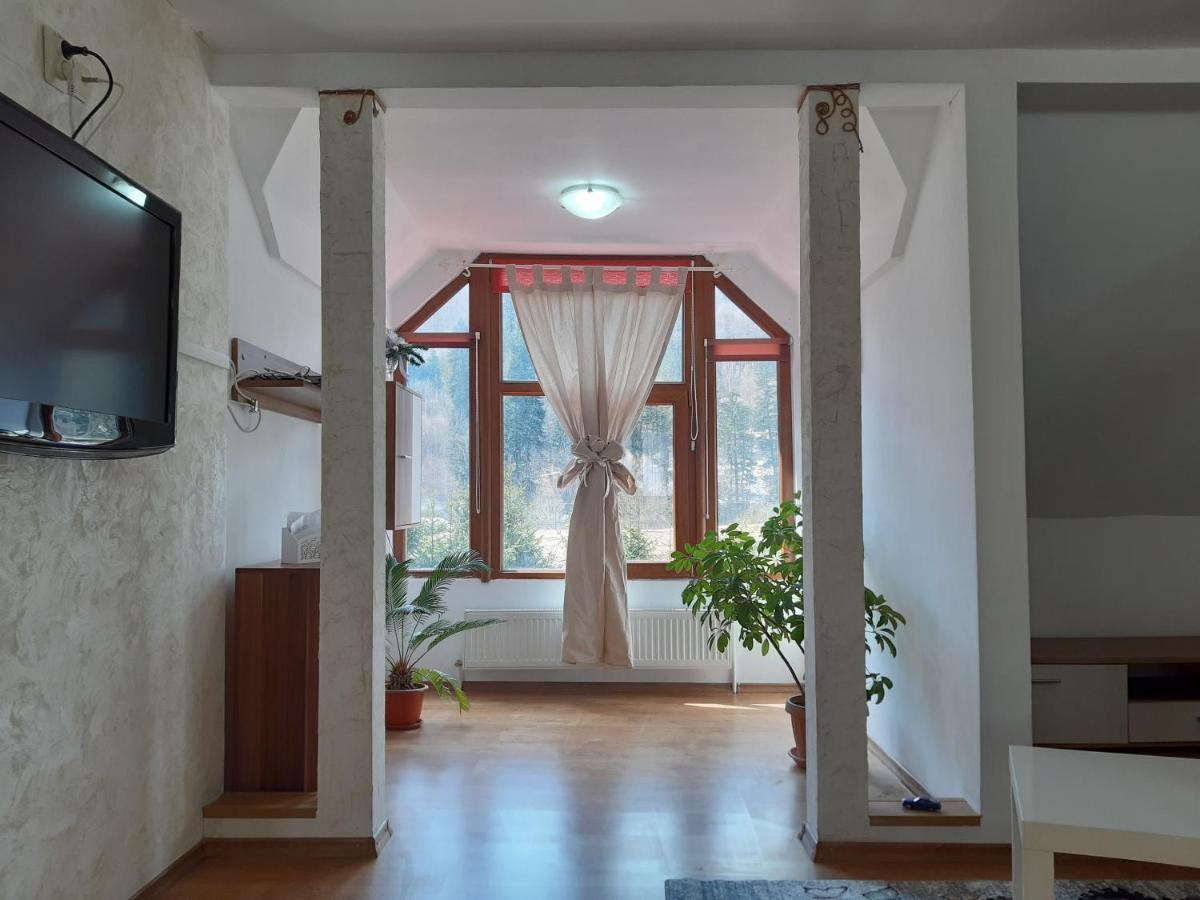 Casa Olguta Apartment ซินายา ภายนอก รูปภาพ