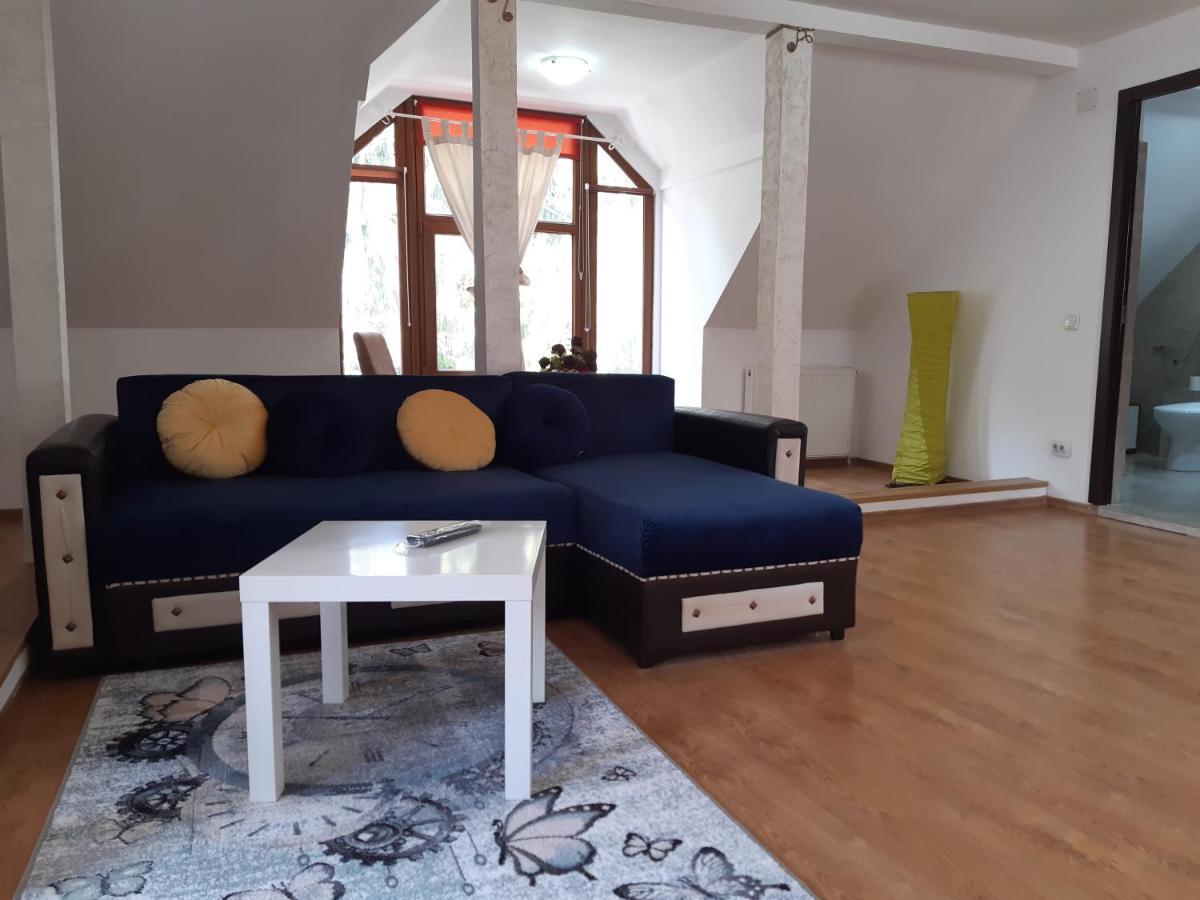 Casa Olguta Apartment ซินายา ภายนอก รูปภาพ