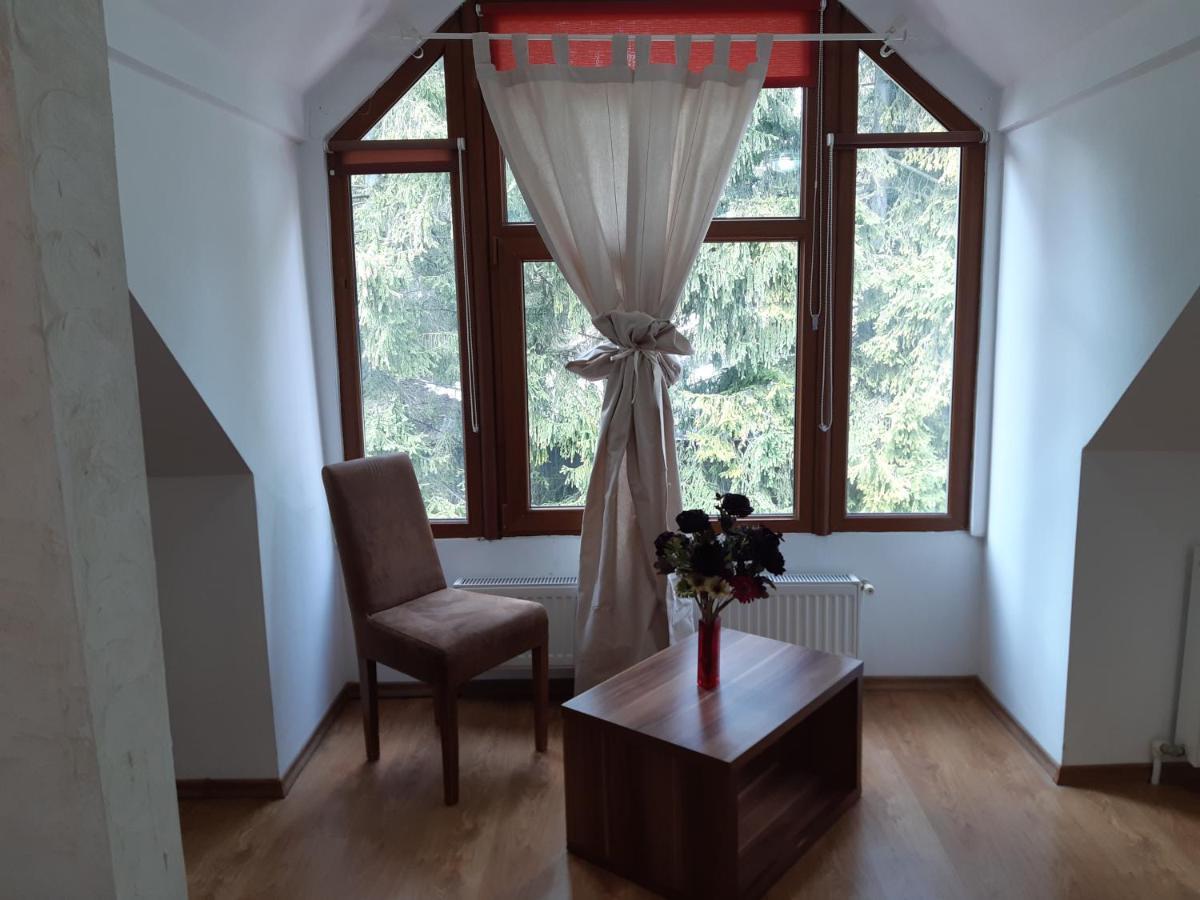 Casa Olguta Apartment ซินายา ภายนอก รูปภาพ