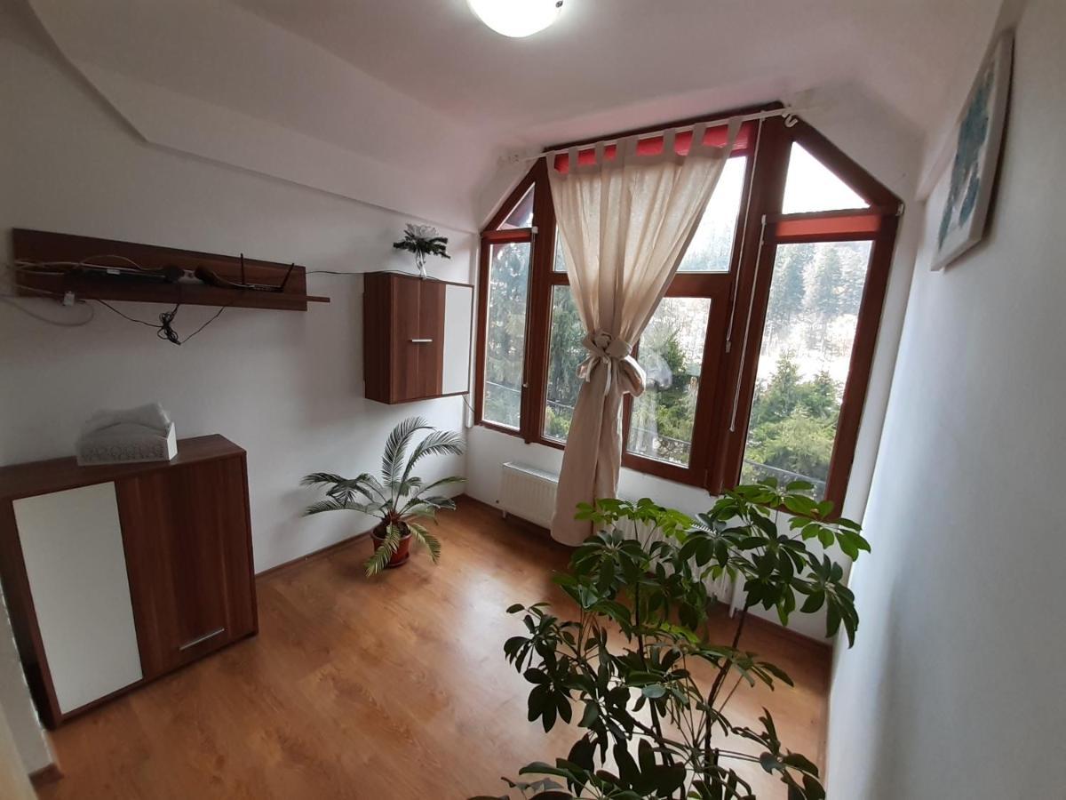Casa Olguta Apartment ซินายา ภายนอก รูปภาพ