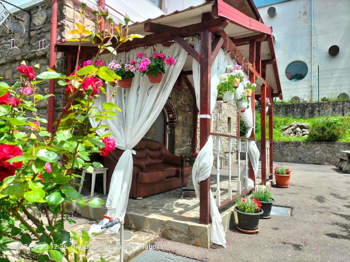 Casa Olguta Apartment ซินายา ภายนอก รูปภาพ