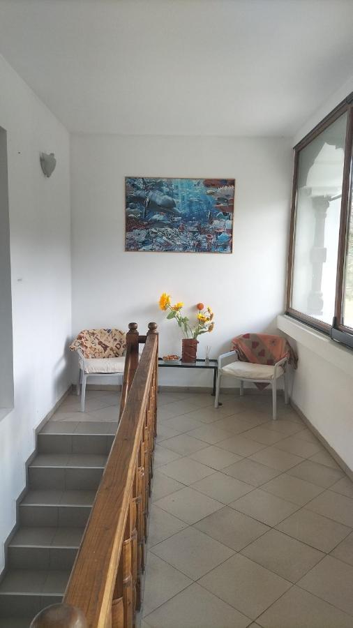 Casa Olguta Apartment ซินายา ภายนอก รูปภาพ