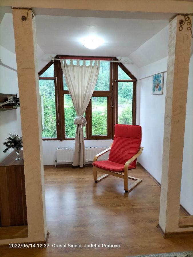 Casa Olguta Apartment ซินายา ภายนอก รูปภาพ