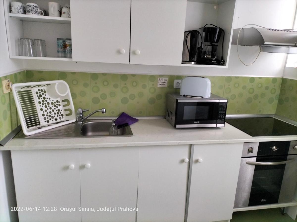 Casa Olguta Apartment ซินายา ภายนอก รูปภาพ