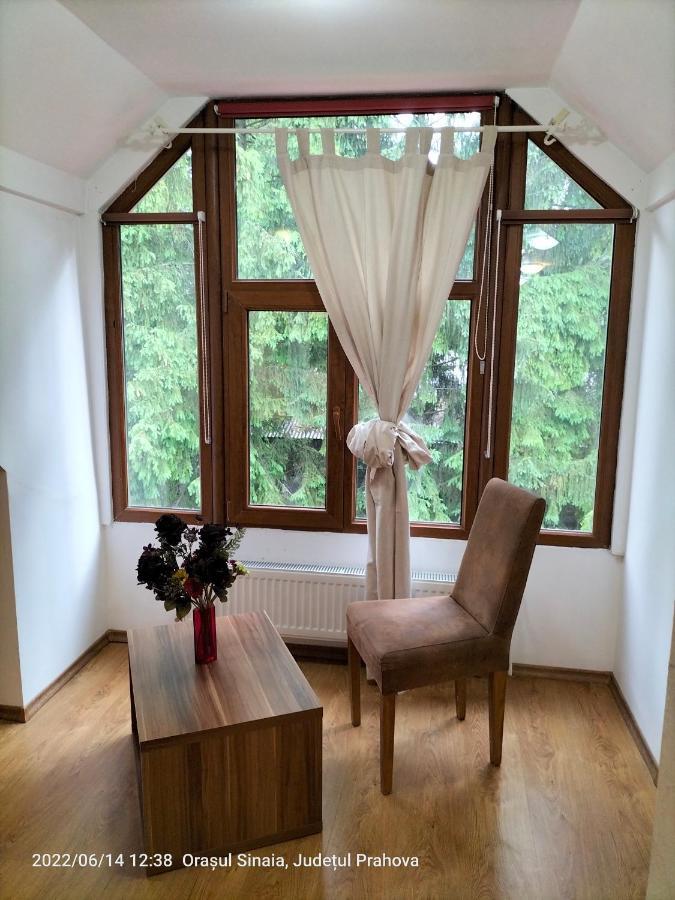 Casa Olguta Apartment ซินายา ภายนอก รูปภาพ