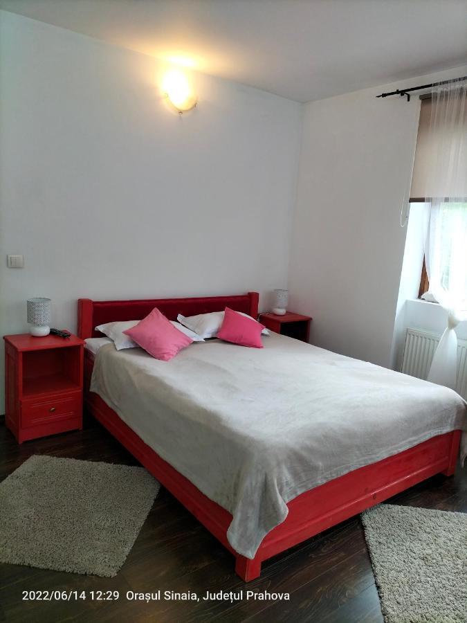 Casa Olguta Apartment ซินายา ภายนอก รูปภาพ