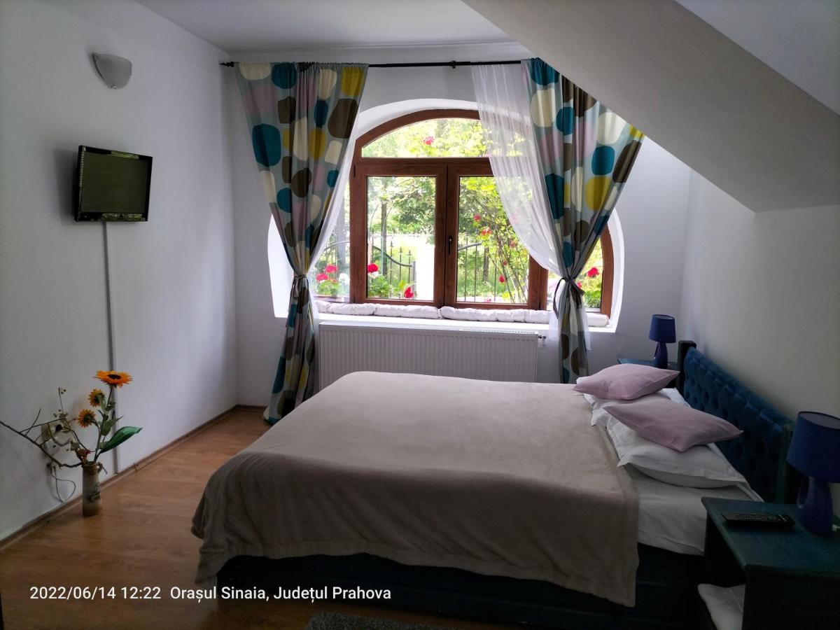 Casa Olguta Apartment ซินายา ภายนอก รูปภาพ