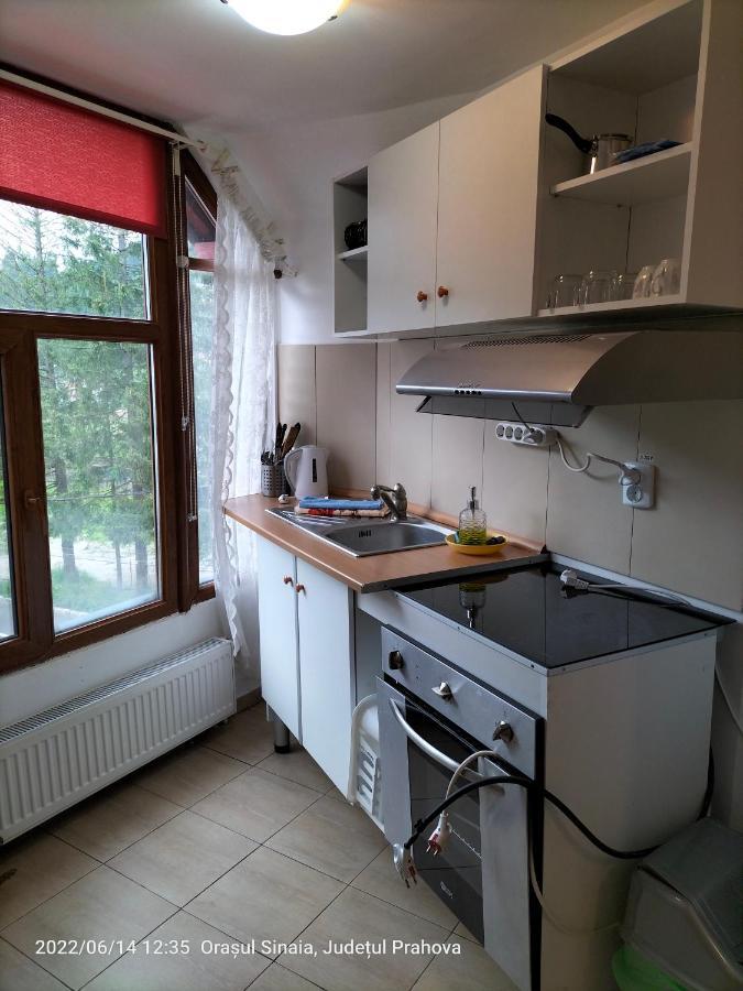 Casa Olguta Apartment ซินายา ภายนอก รูปภาพ