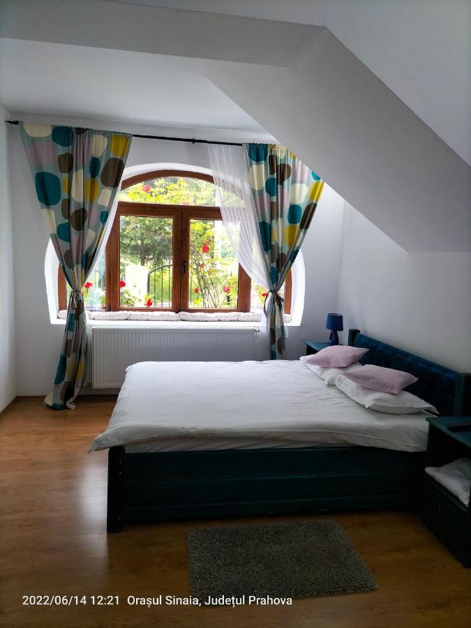 Casa Olguta Apartment ซินายา ภายนอก รูปภาพ