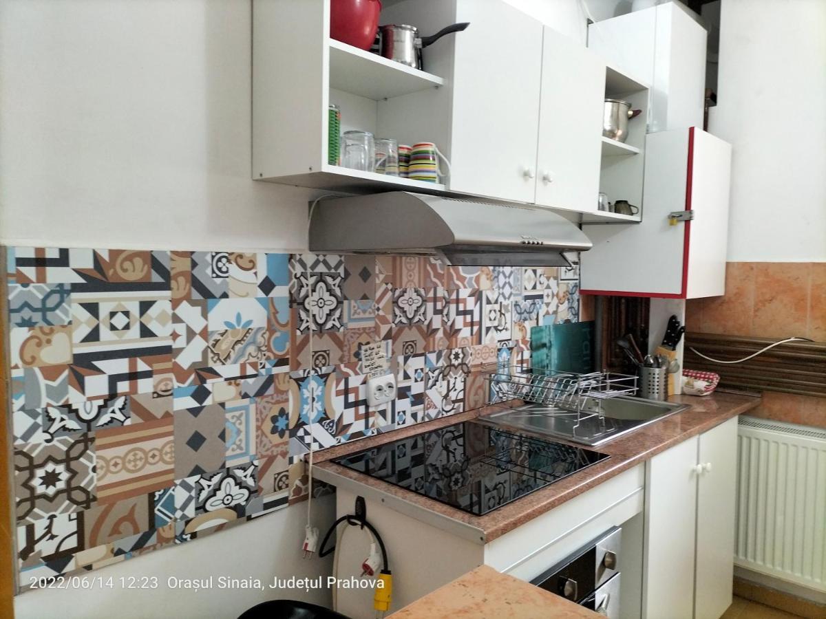 Casa Olguta Apartment ซินายา ภายนอก รูปภาพ