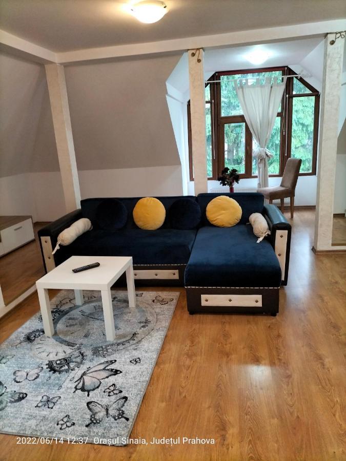 Casa Olguta Apartment ซินายา ภายนอก รูปภาพ