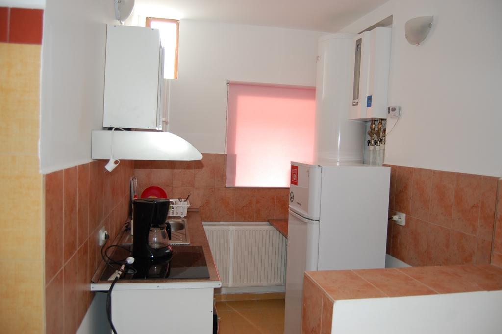 Casa Olguta Apartment ซินายา ห้อง รูปภาพ
