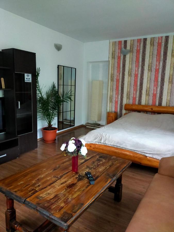 Casa Olguta Apartment ซินายา ห้อง รูปภาพ