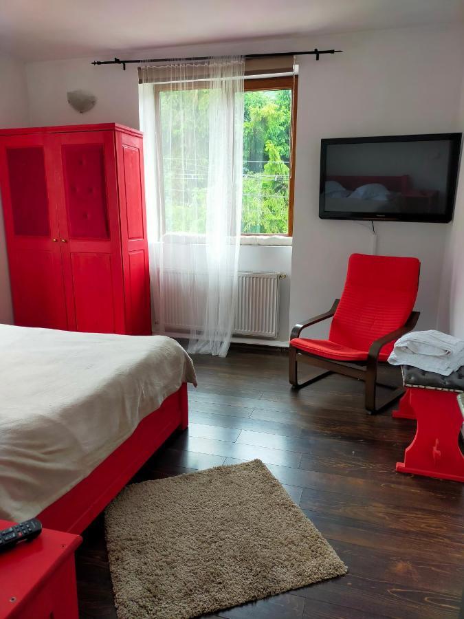 Casa Olguta Apartment ซินายา ภายนอก รูปภาพ