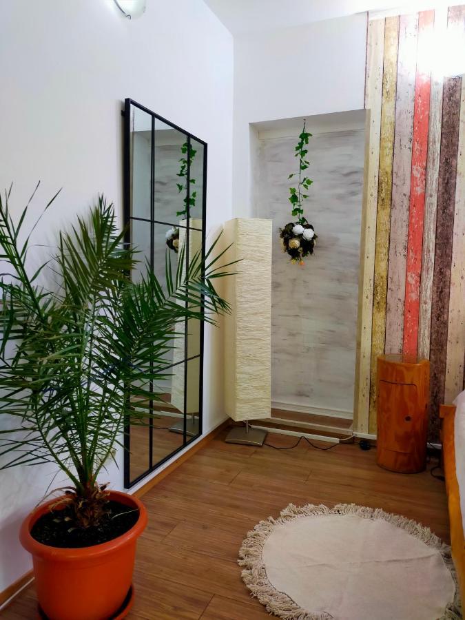 Casa Olguta Apartment ซินายา ภายนอก รูปภาพ