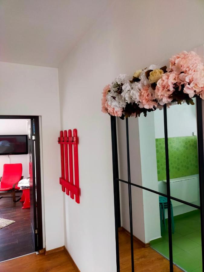 Casa Olguta Apartment ซินายา ภายนอก รูปภาพ