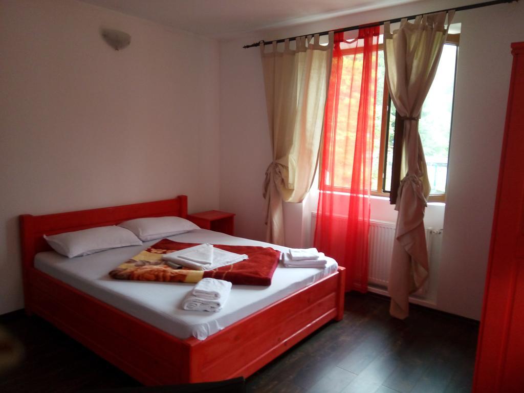 Casa Olguta Apartment ซินายา ภายนอก รูปภาพ