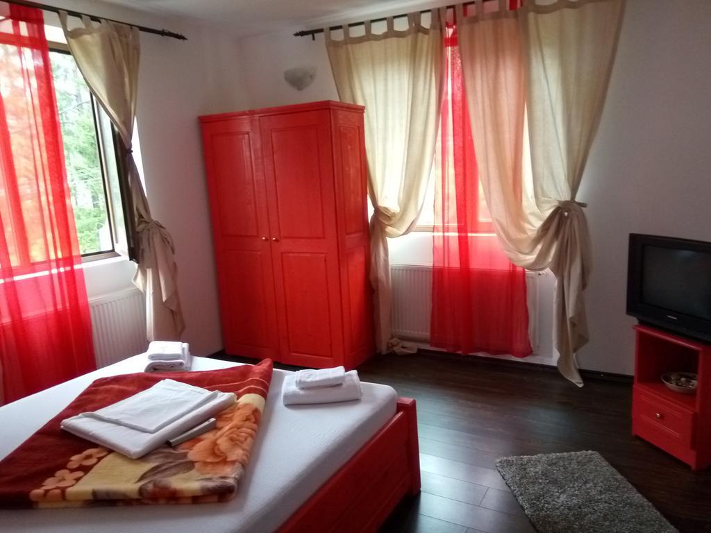 Casa Olguta Apartment ซินายา ภายนอก รูปภาพ