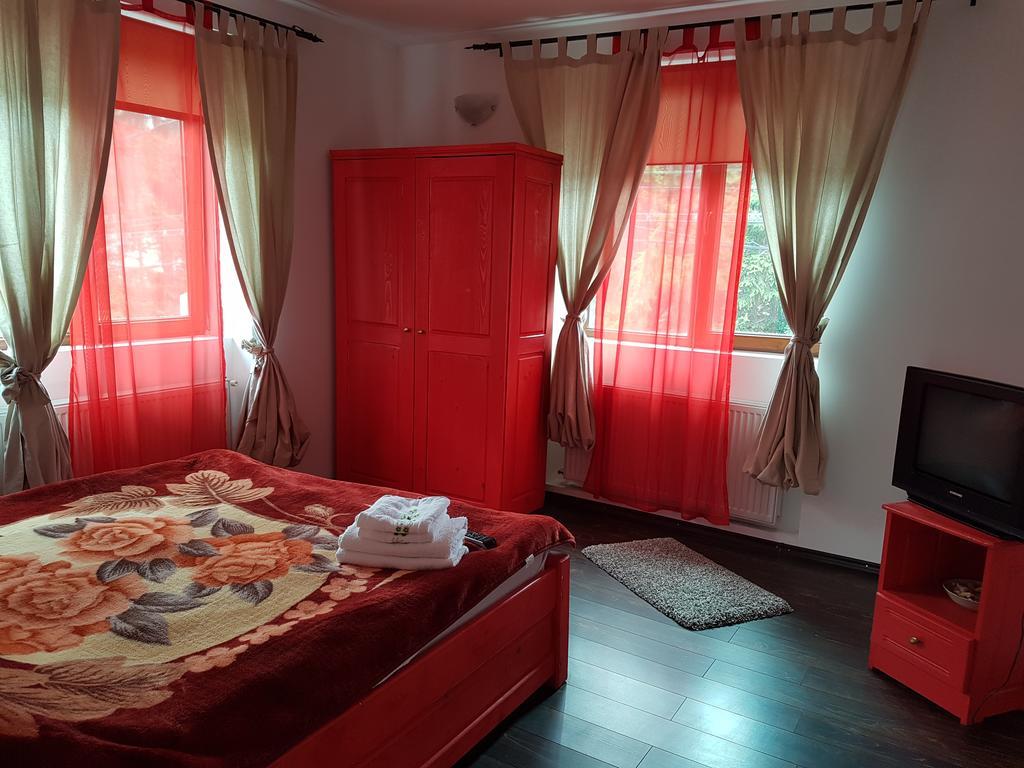Casa Olguta Apartment ซินายา ภายนอก รูปภาพ