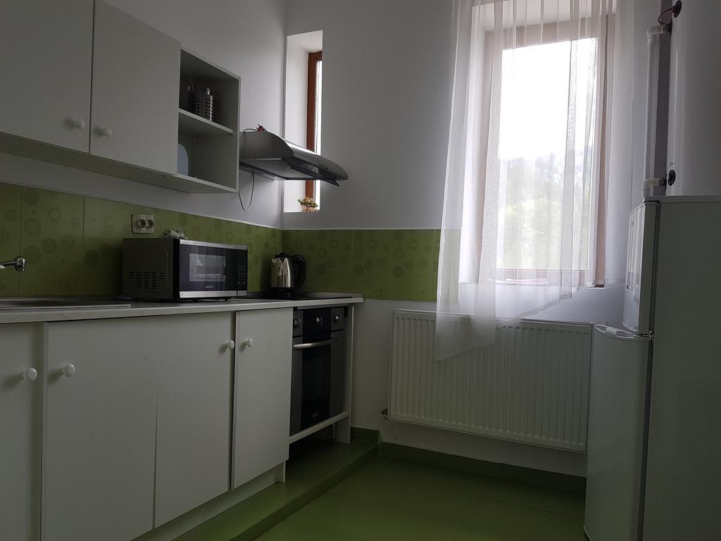 Casa Olguta Apartment ซินายา ภายนอก รูปภาพ