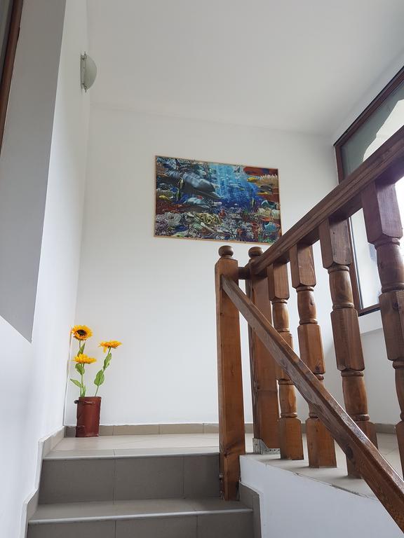 Casa Olguta Apartment ซินายา ภายนอก รูปภาพ