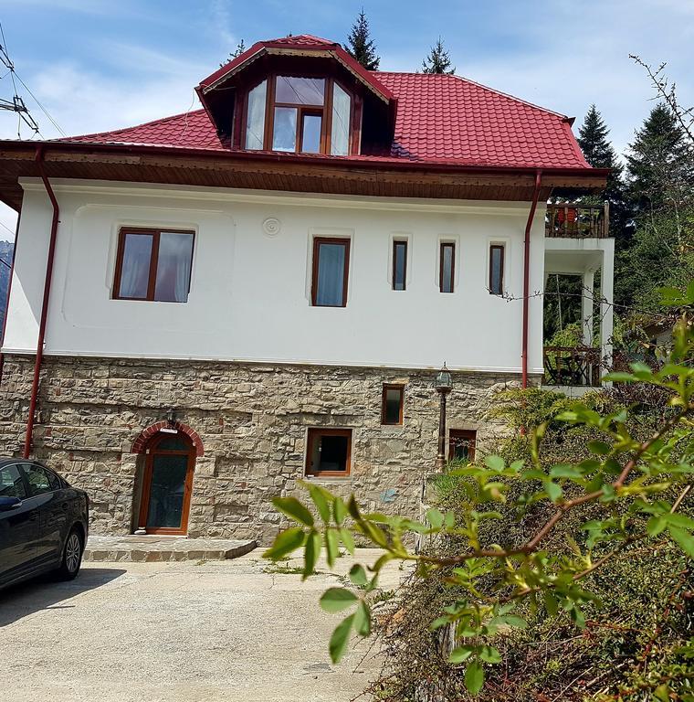Casa Olguta Apartment ซินายา ภายนอก รูปภาพ